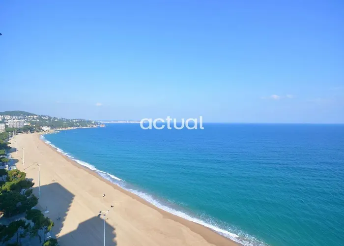 Daire President B-14